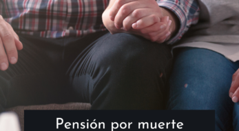 pensionmuertesupervivenciagestofacil.alt