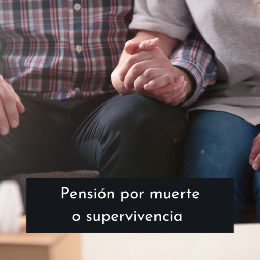 pensionmuertesupervivenciagestofacil.alt