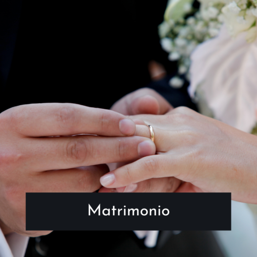 matrimoniogestofacil.alt