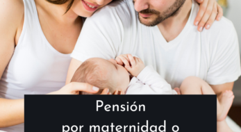 pensionmaternidadpaternidadgestofacil.alt