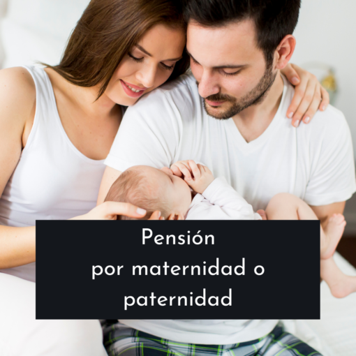 pensionmaternidadpaternidadgestofacil.alt