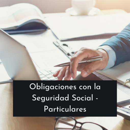 obligacionesseguridadsocialgestofacil.alt